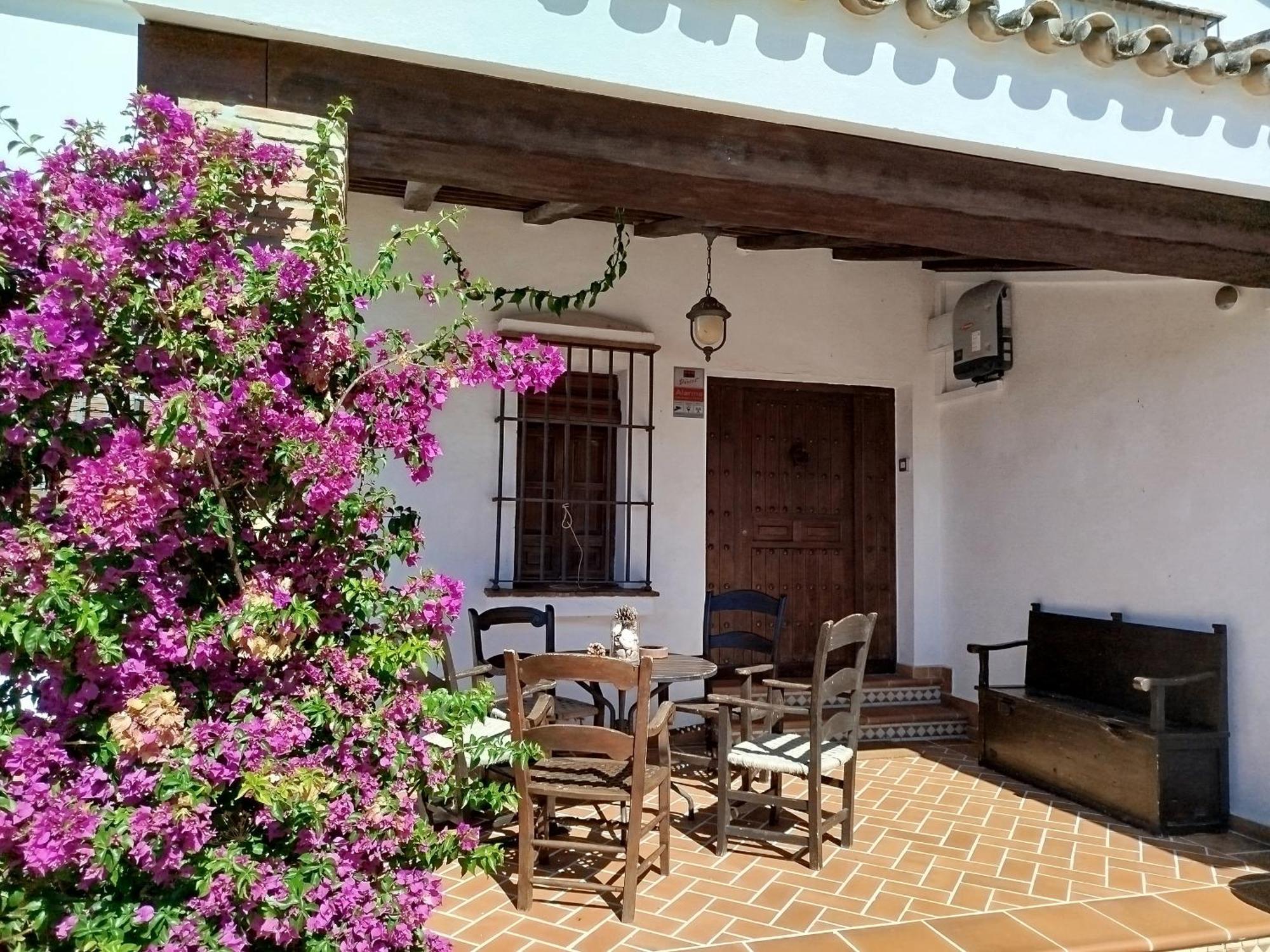 Villa Gran Casa Con Piscina Privada By Chiclana Dreams Chiclana de la Frontera Esterno foto